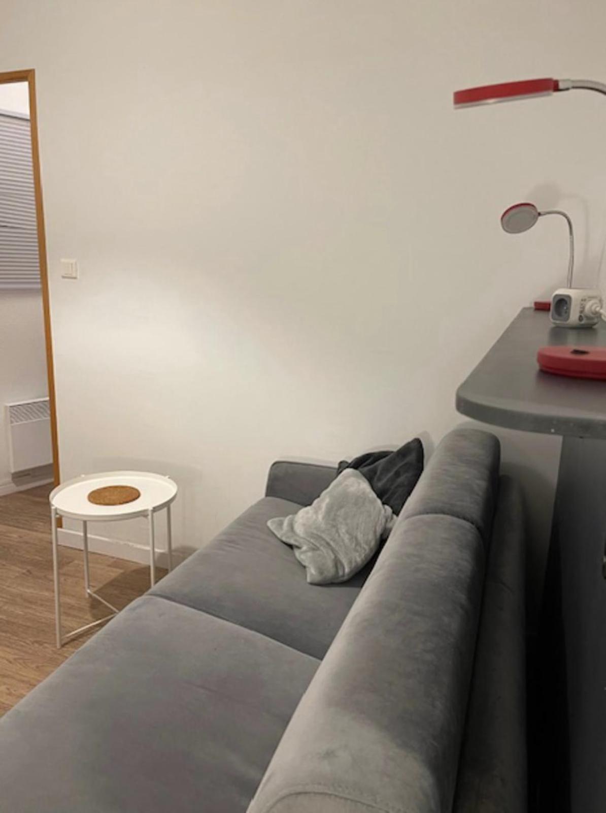 Cosy Studio 16M2 ليون المظهر الخارجي الصورة